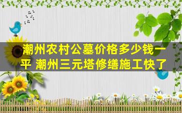 潮州农村公墓价格多少钱一平 潮州三元塔修缮施工快了